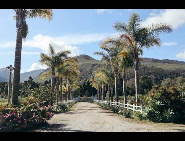 FARM FOR SALE IN TSITSIKAMMA